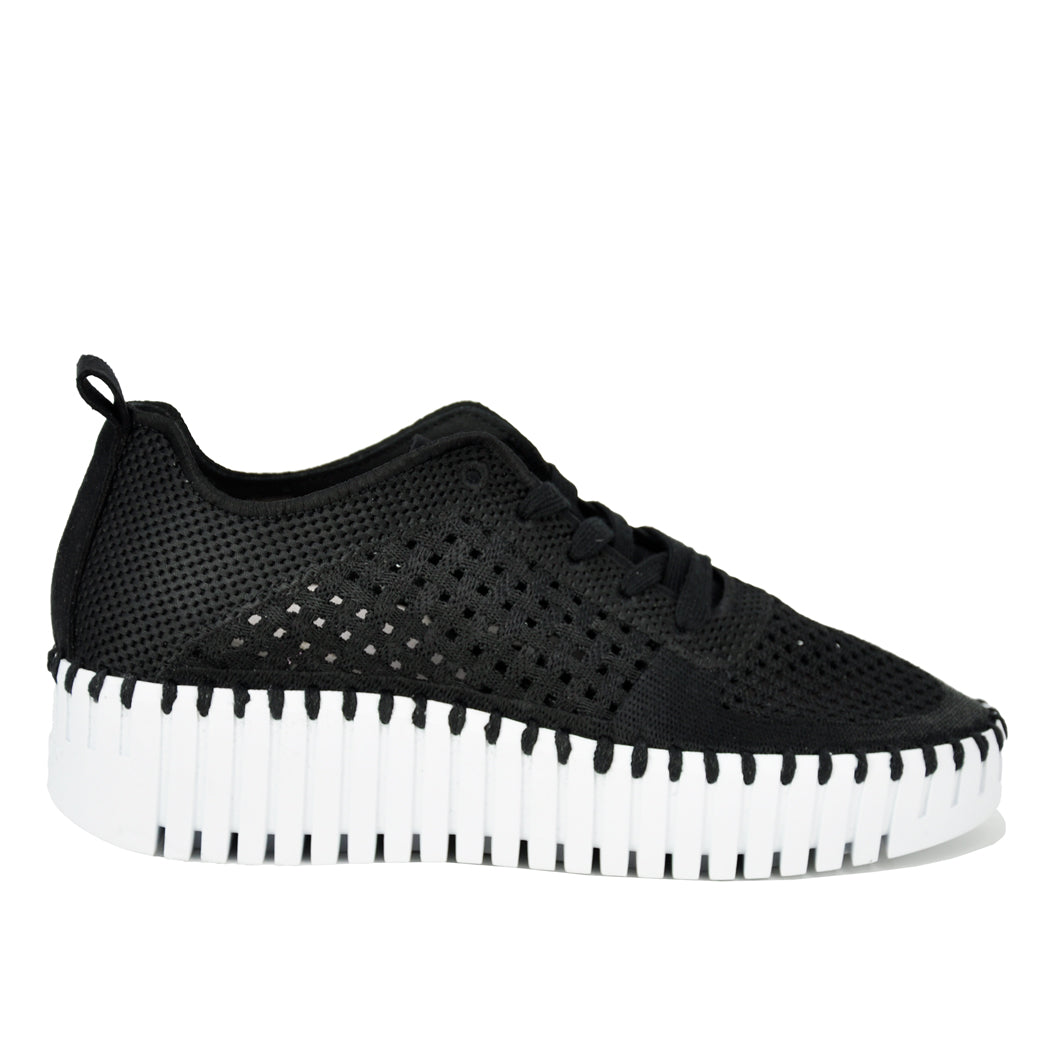 Tulip-4271 Knit Tie Platform Sneaker – Footnotes