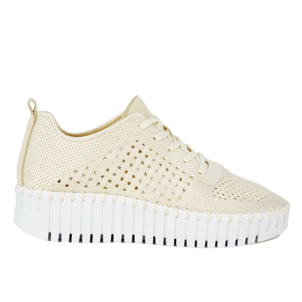 Tulip-4271 Knit Tie Platform Sneaker – Footnotes