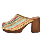 Saquan Multicolor Raffia Clog