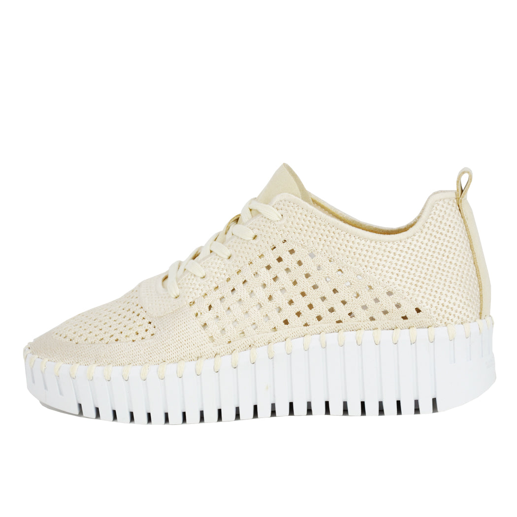 Tulip-4271 Knit Tie Platform Sneaker – Footnotes